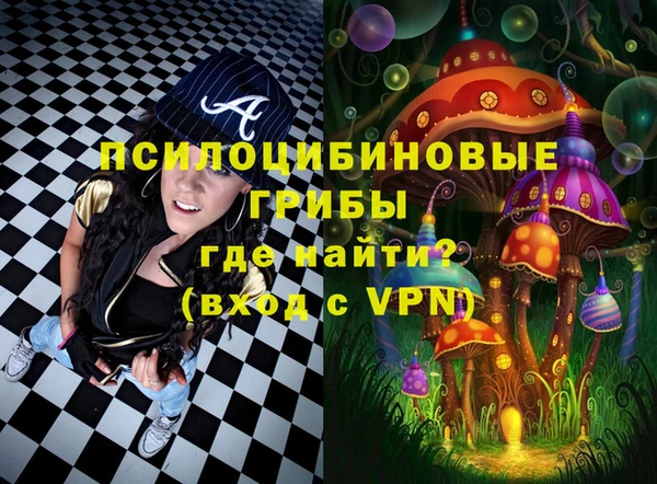 твердый Лиски