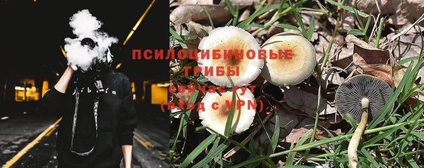твердый Лиски