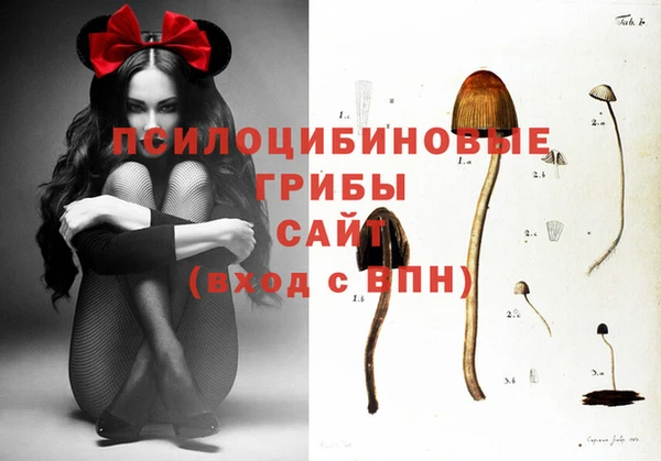 не бодяженный Ладушкин