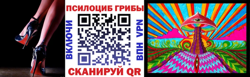 закладка  omg tor  Галлюциногенные грибы мухоморы  Павловская 