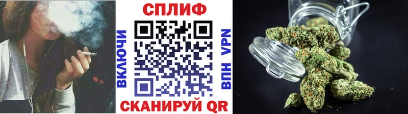 Конопля марихуана Павловская